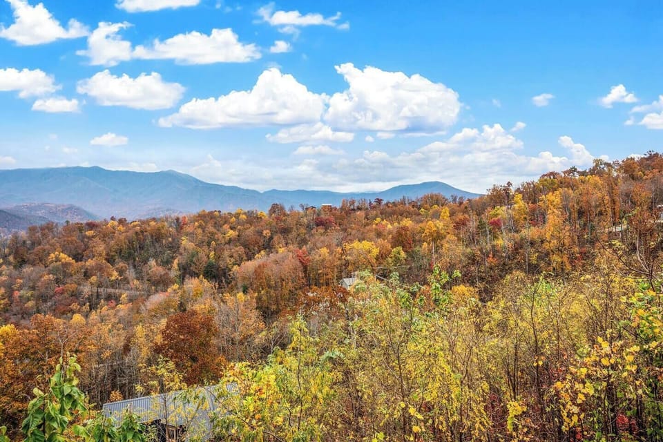 Amazing views from patio on main level