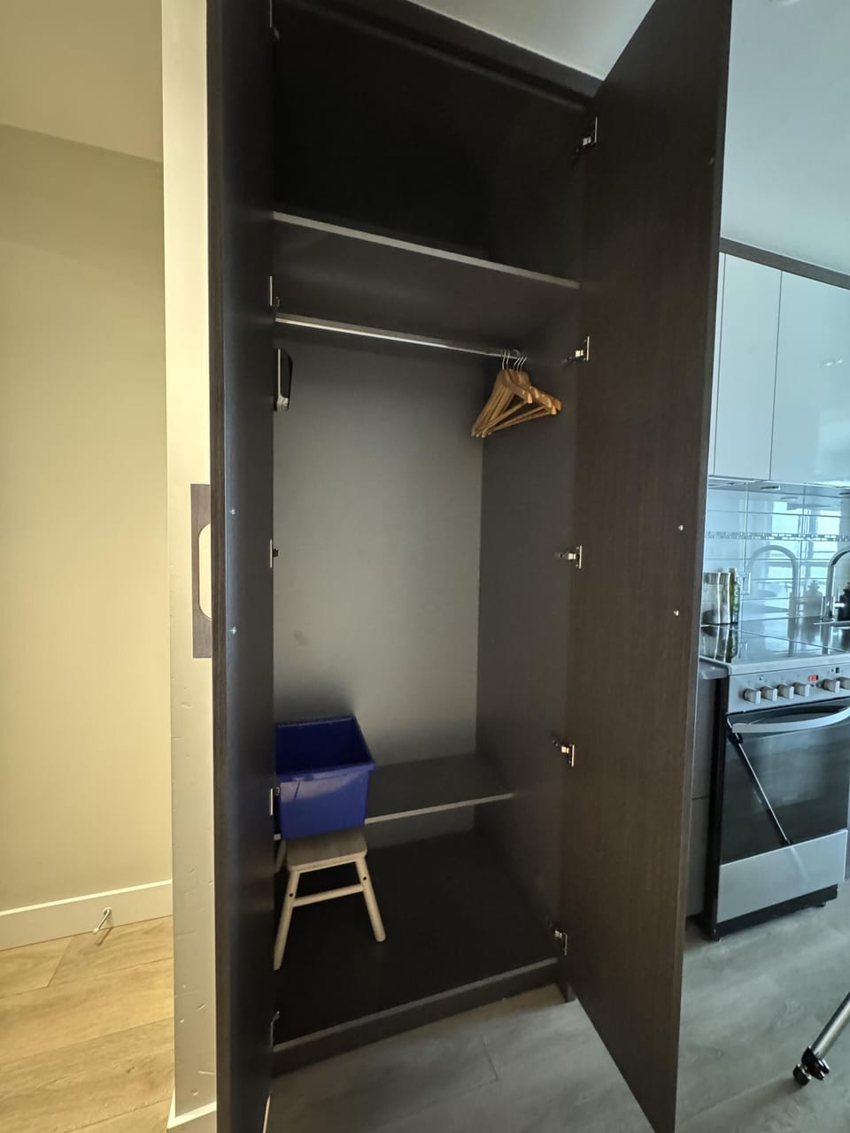 Entryway utility closet providing dedicated storage space for coats and household items.