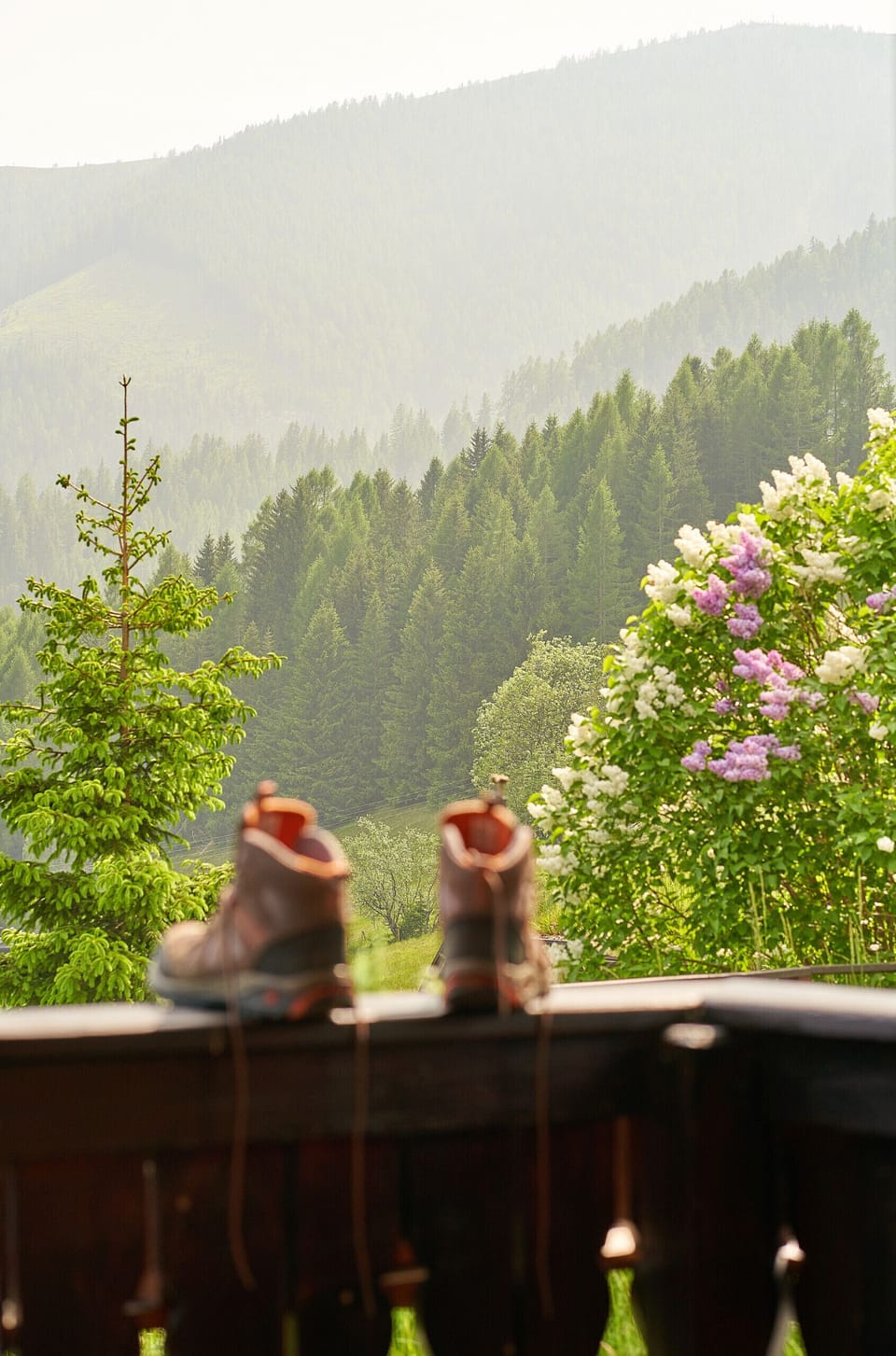 View from property
