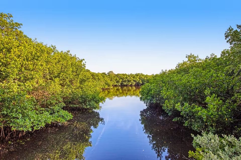 Beautiful nature right from your balcony