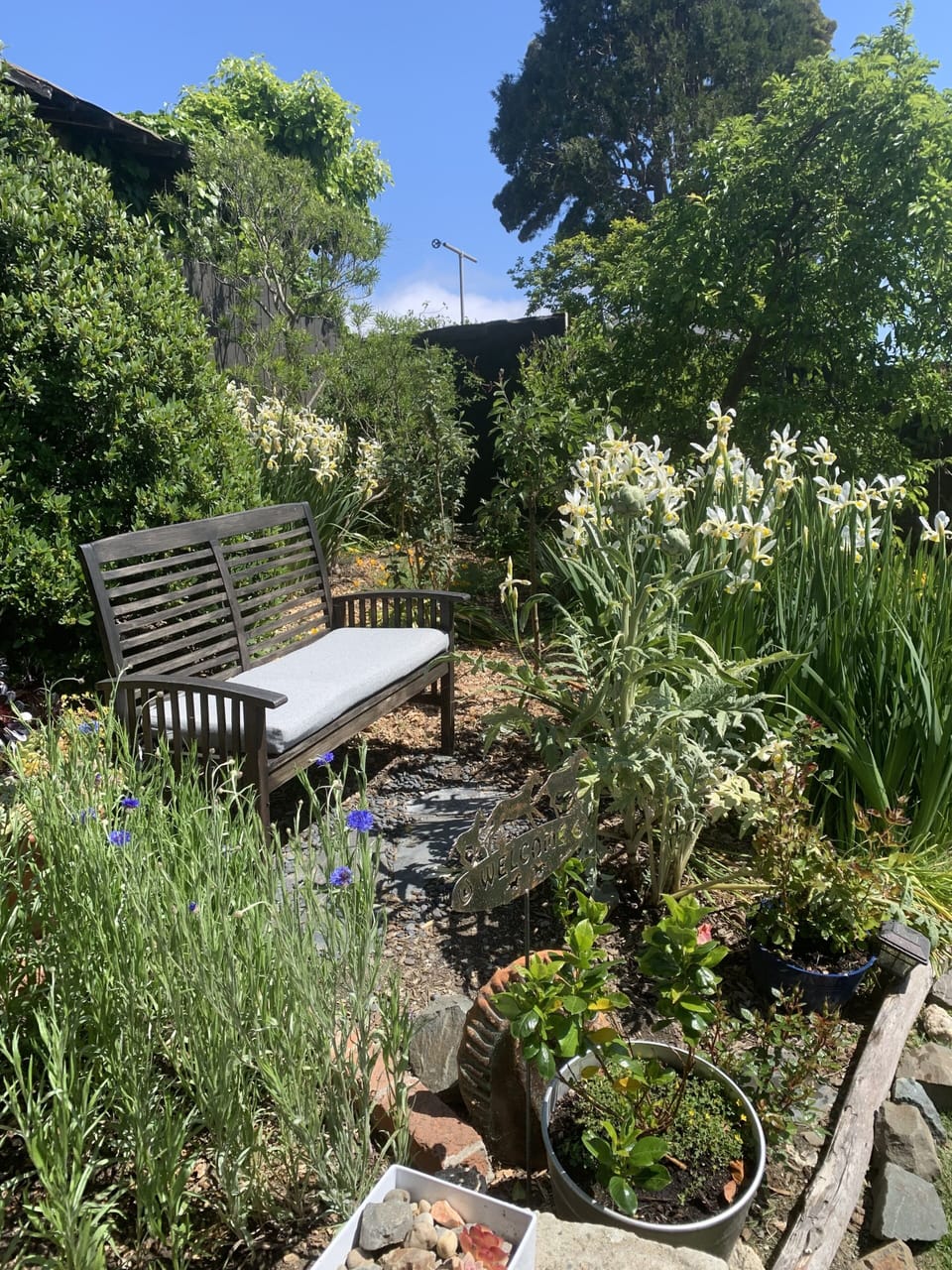 Comfy garden bench