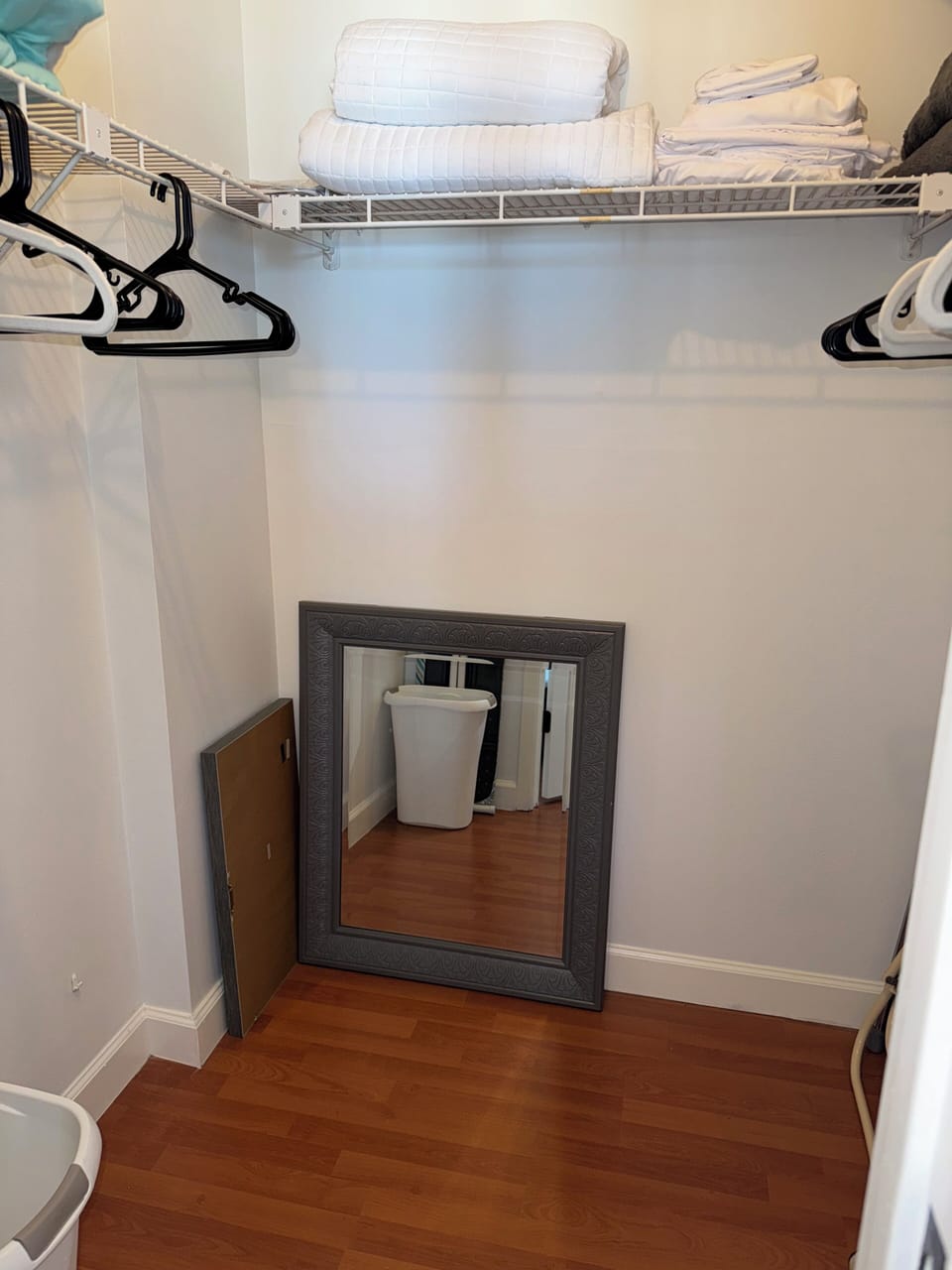 Bedroom 2 walk in closet