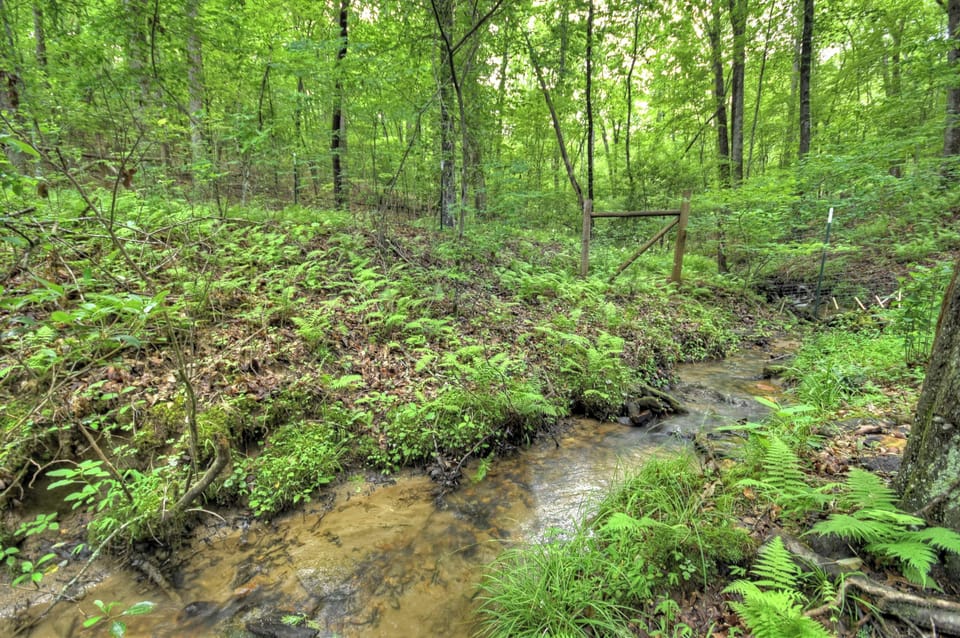 Creek Below Cabin