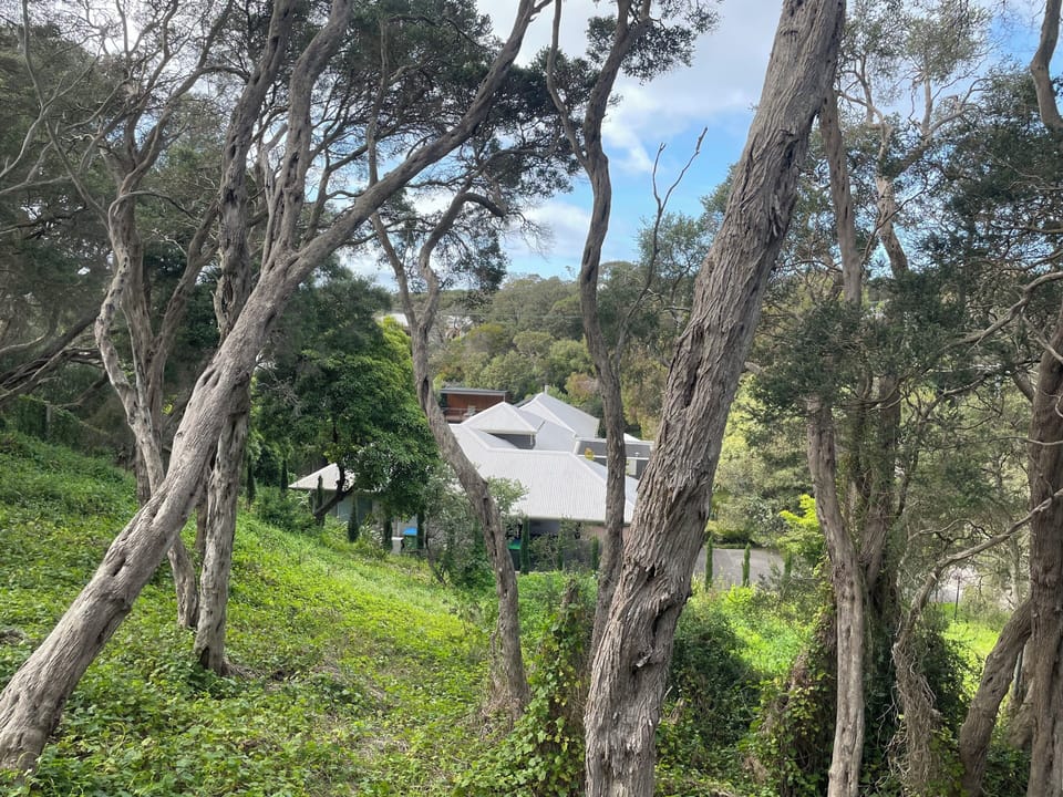 View of house secluded by bushes and trees on all sides.