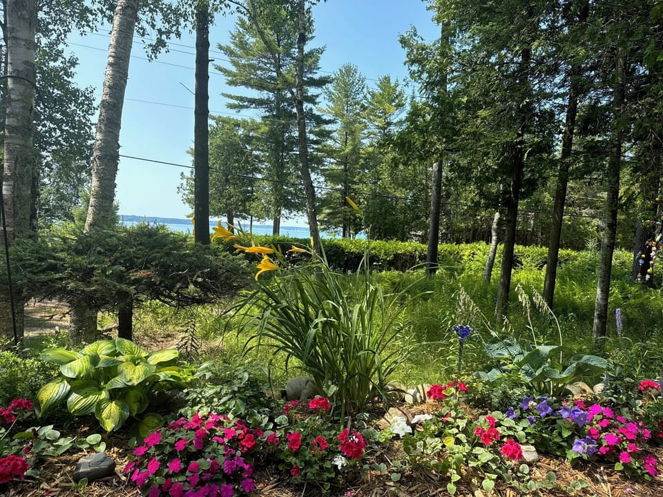 View of garden/lake from our front patio