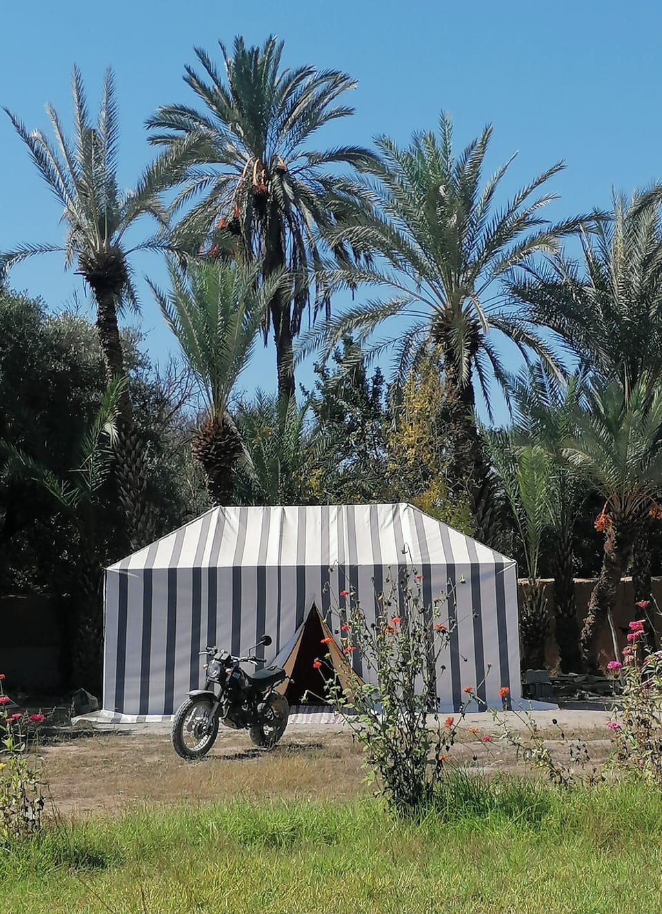 Tente Caïdale