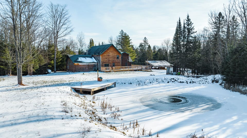Cabin and pond