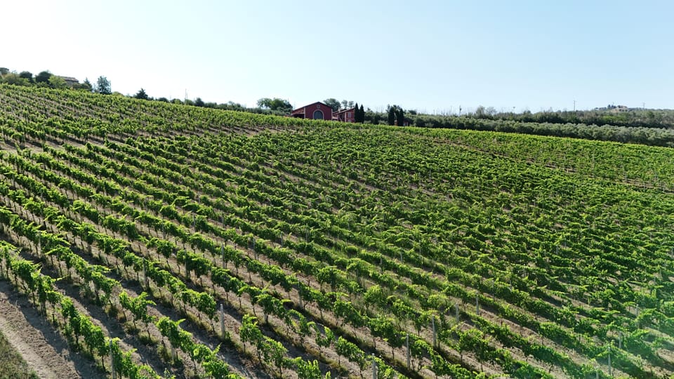 Winery