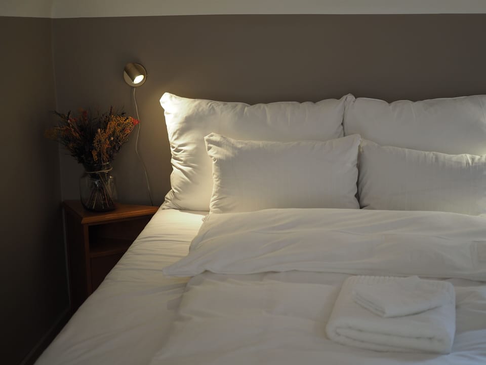 Basic Double Room, Park View | Down comforters, pillowtop beds, free WiFi, bed sheets