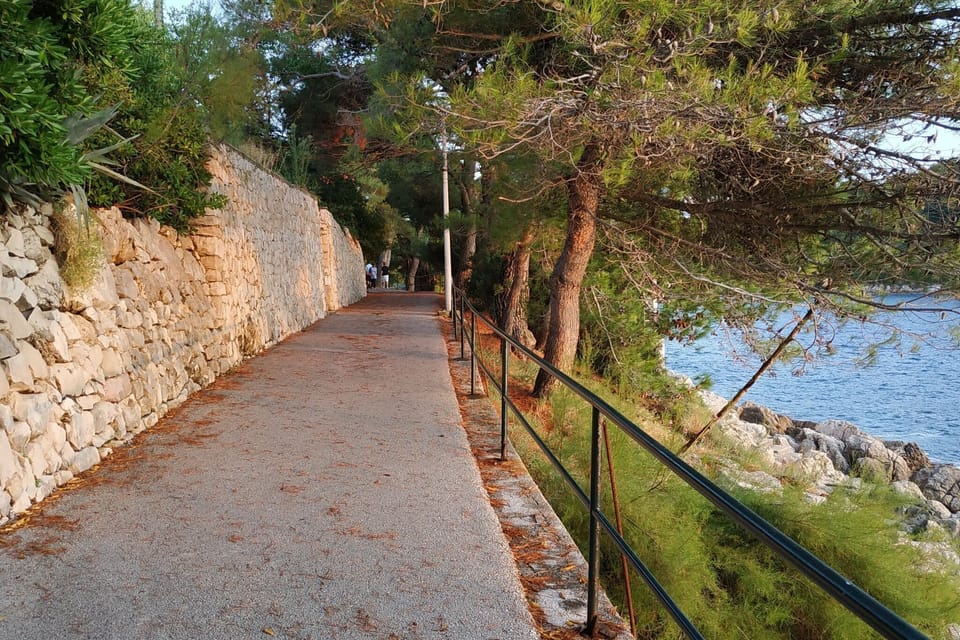 View