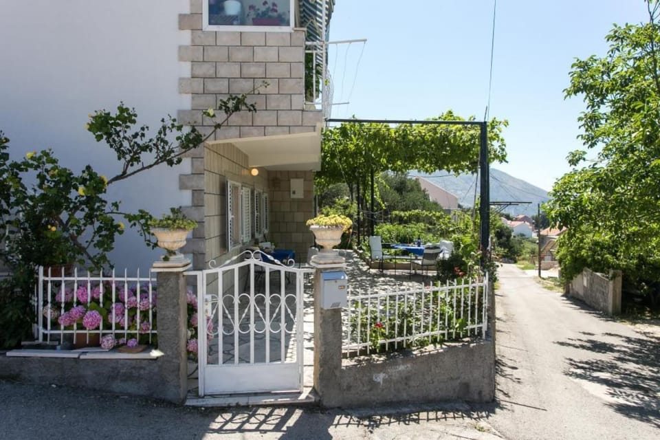 Entrance / Reception