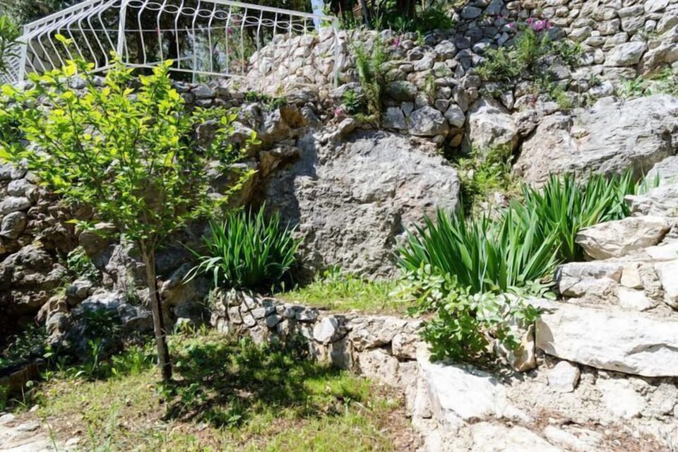 Garden [summer]