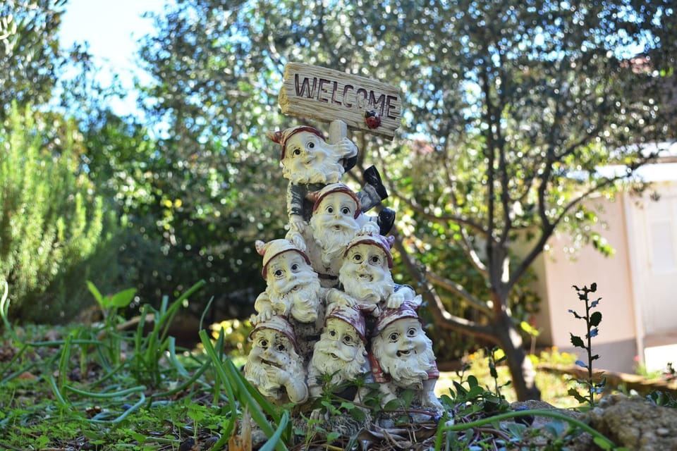 Garden [summer]