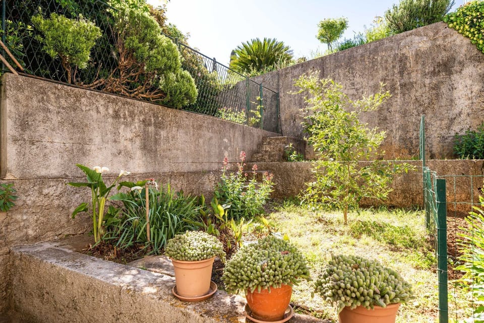 Garden [summer]