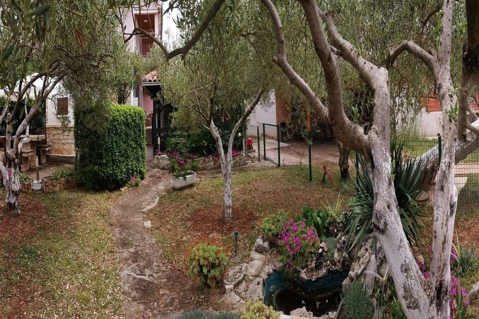 Garden [summer]