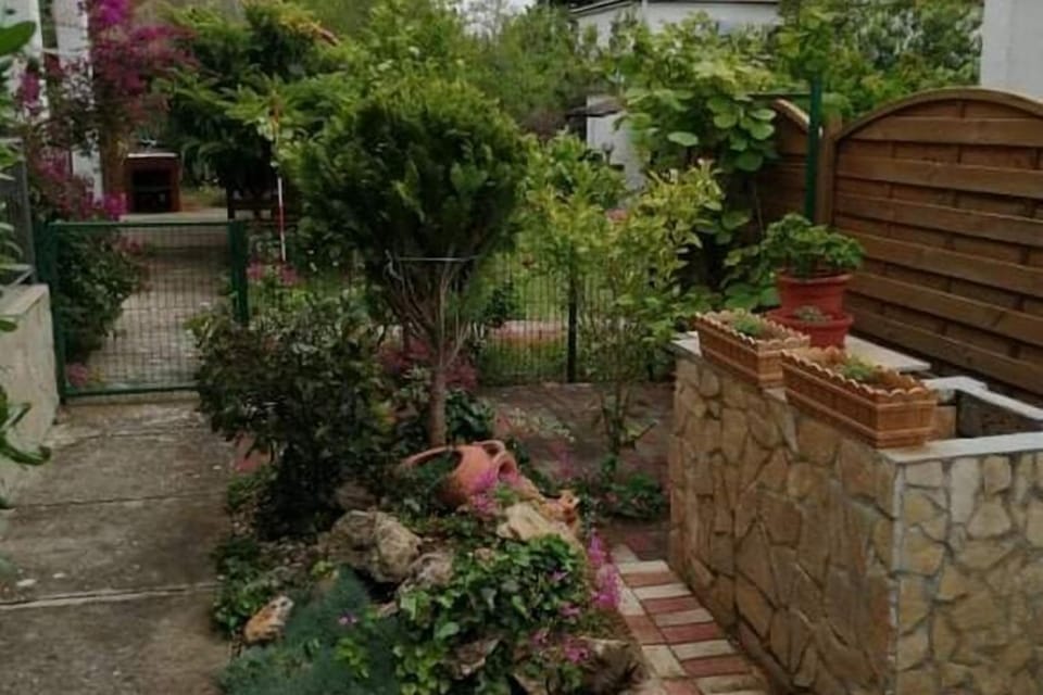Garden [summer]