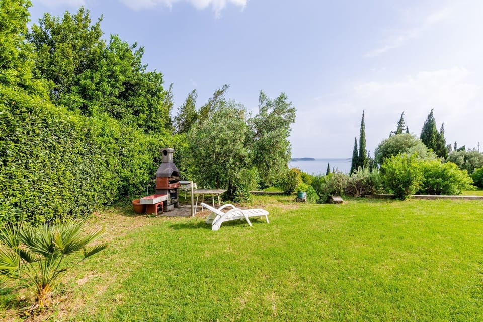 Garden [summer]