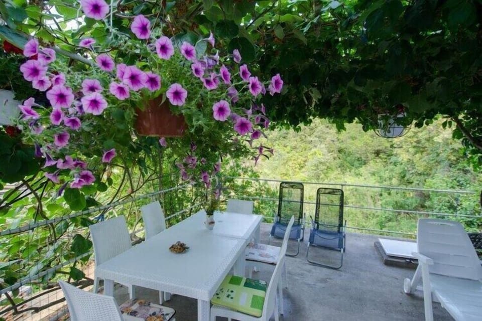 terrace