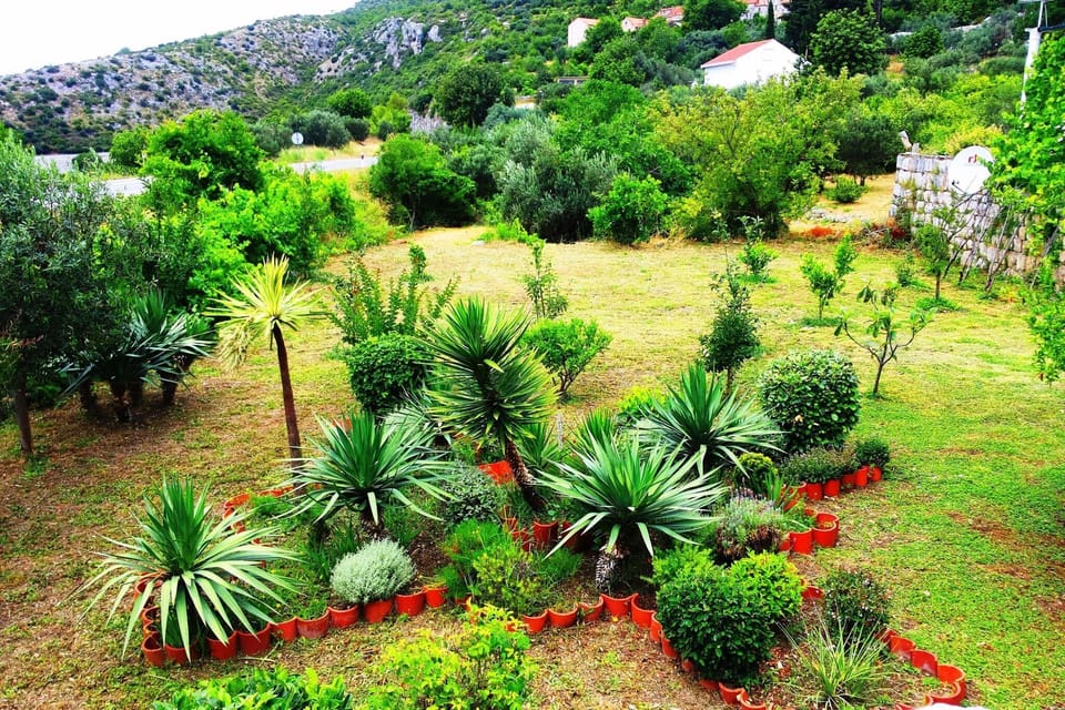 Garden [summer]