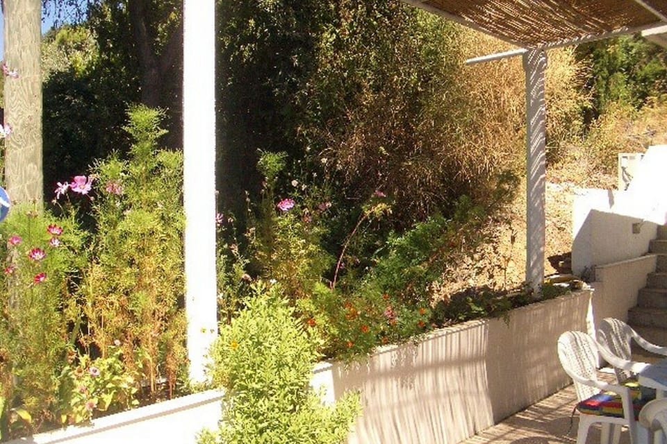 Garden [summer]
