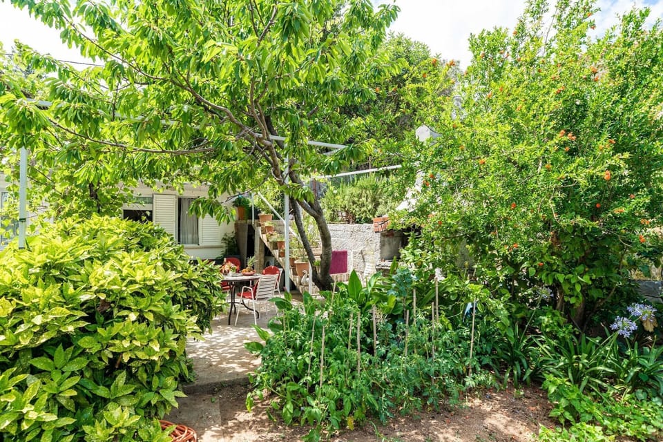 Garden [summer]