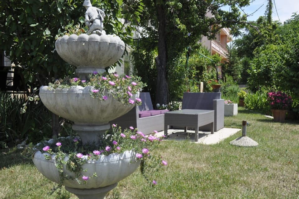 Garden [summer]