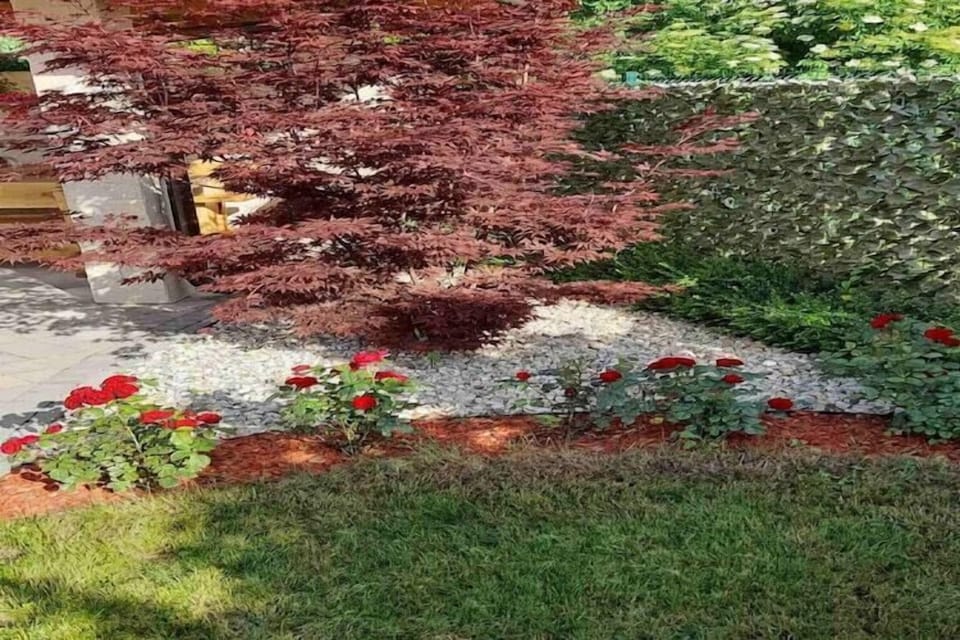 Garden [summer]