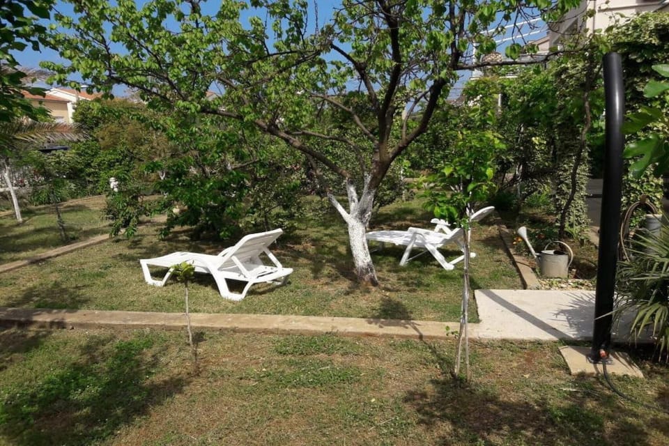 Garden [summer]