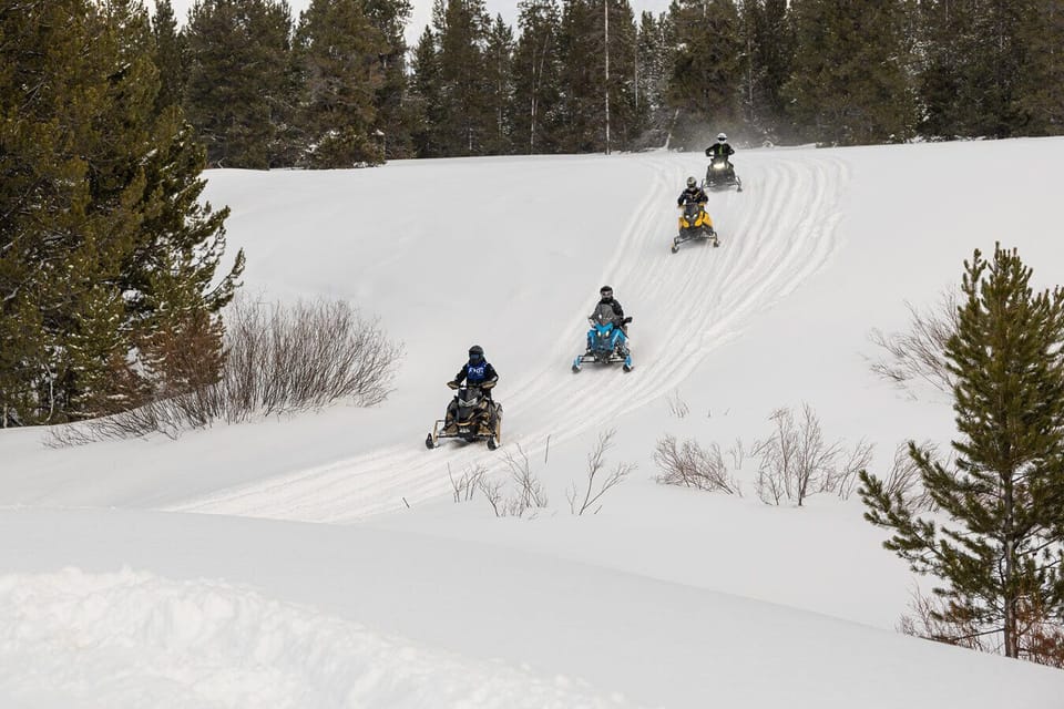 Snow and ski sports