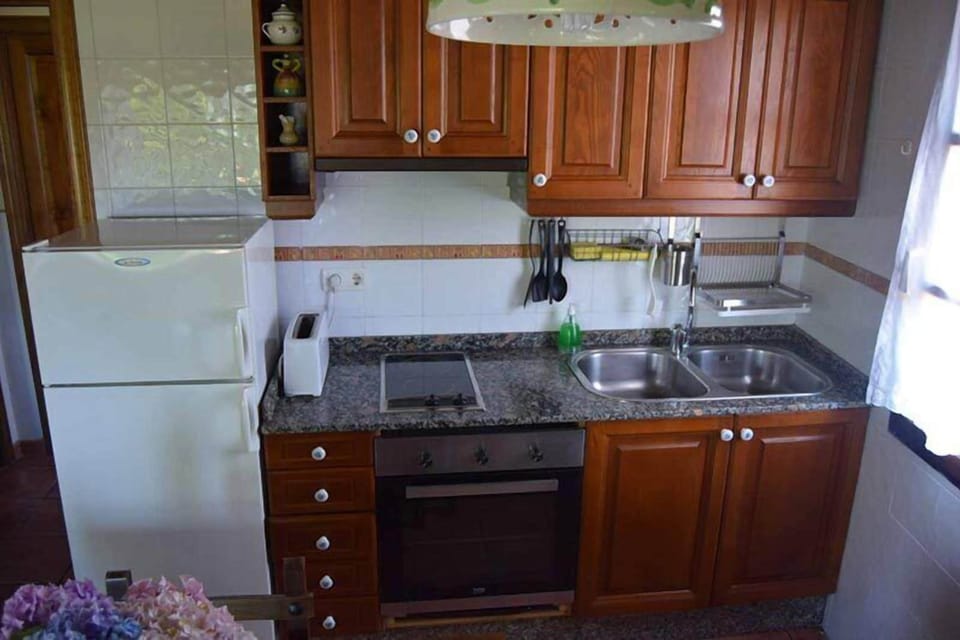 Family Apartment, Patio, Mountain View | Private kitchen | Fridge, microwave, oven, stovetop