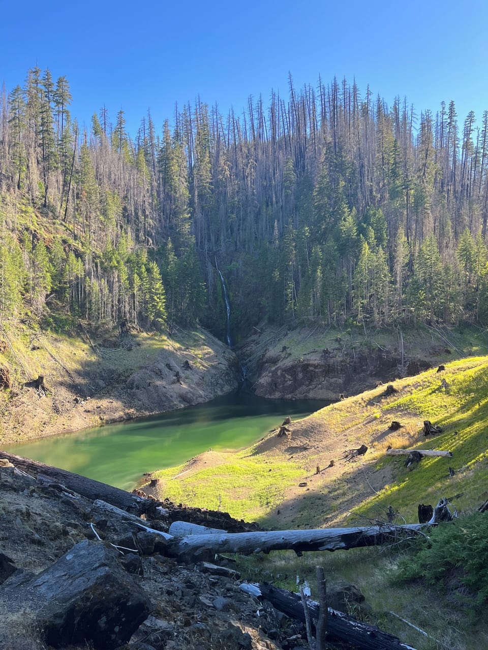 Terwilliger Hot Springs Trailhead - 20 min drive, $15 fee, clothing optional
