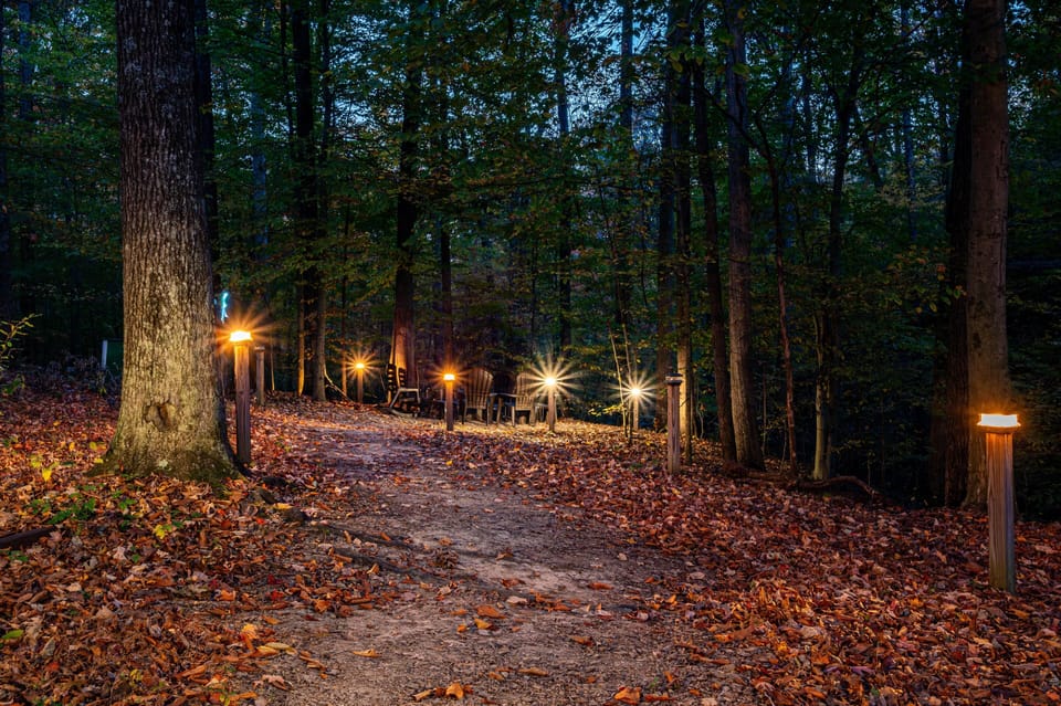 Evening fire pit setting surrounded by peaceful forest ambiance