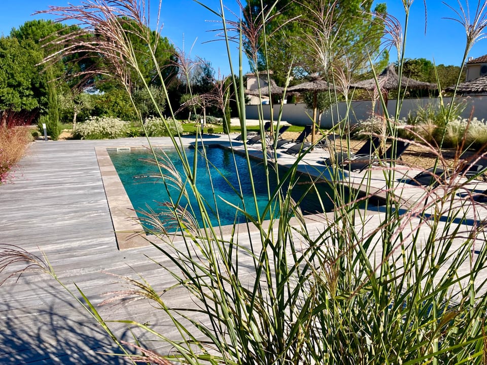 The saltwater swimming pool and its exotic wood terrace with sun loungers and parasols