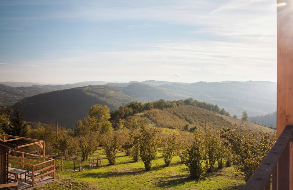 Land view from property