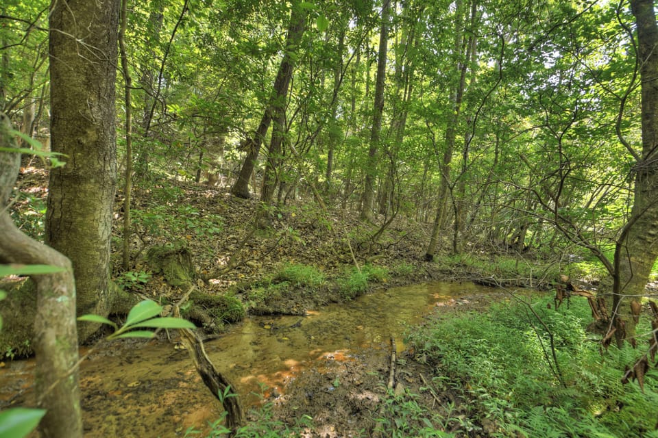 Beautiful little creek that runs along the  property