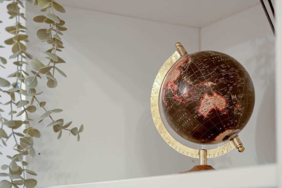 A decorative living room wall featuring a modern plant and circular wall sculpture.


