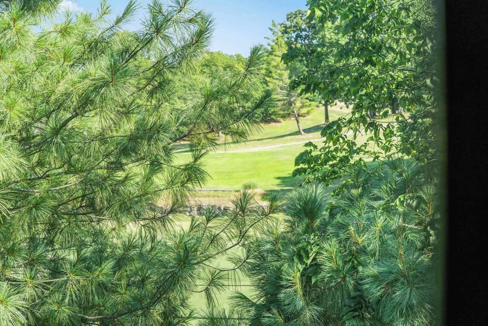 Unit #3 Lanai with amazing views