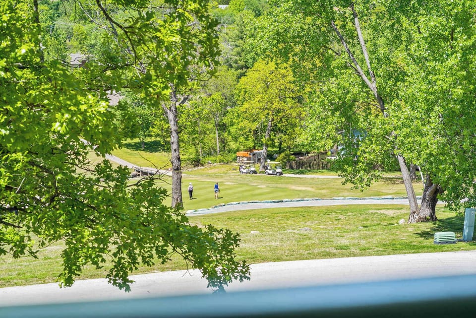 Views from the deck