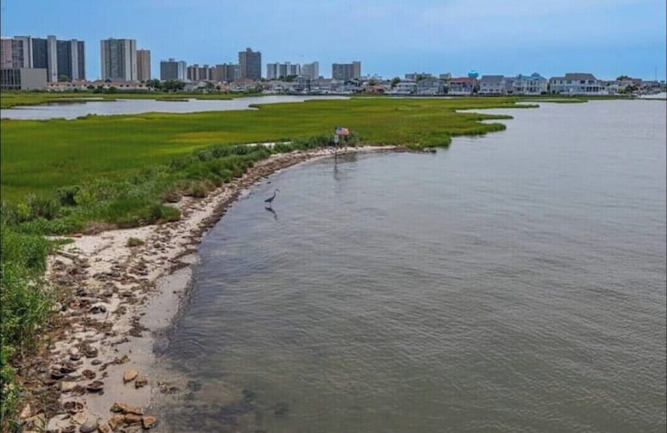 Sandy beach next to our home with easy access to the bay!
