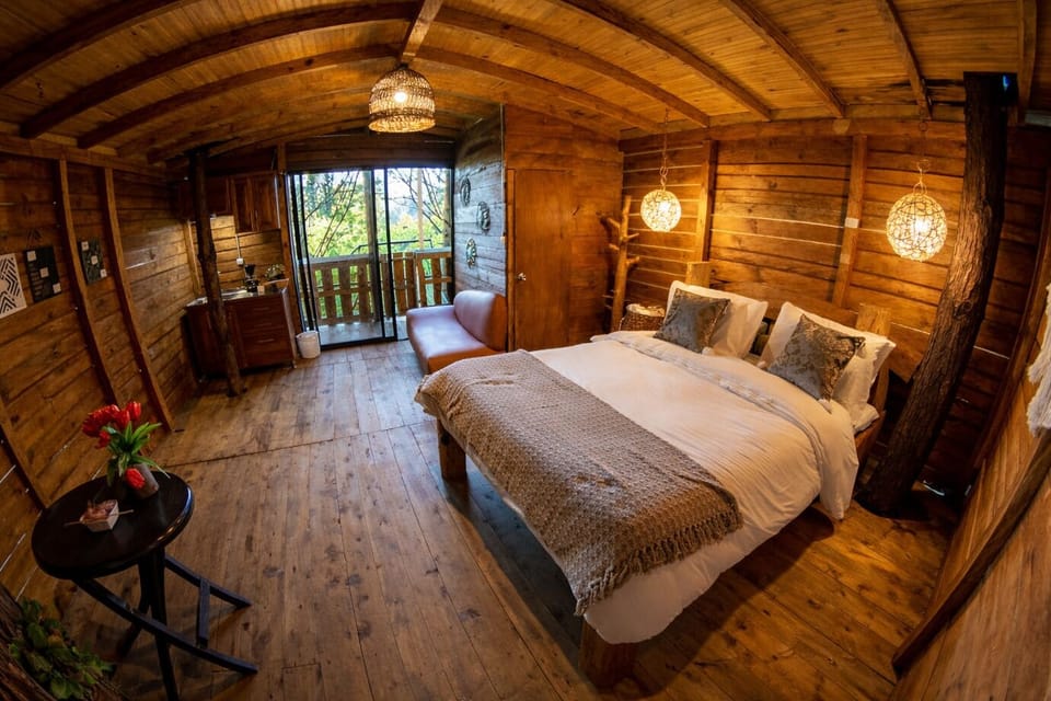 Tree House, Jetted Tub, Valley View | Premium bedding, down comforters, pillowtop beds, minibar