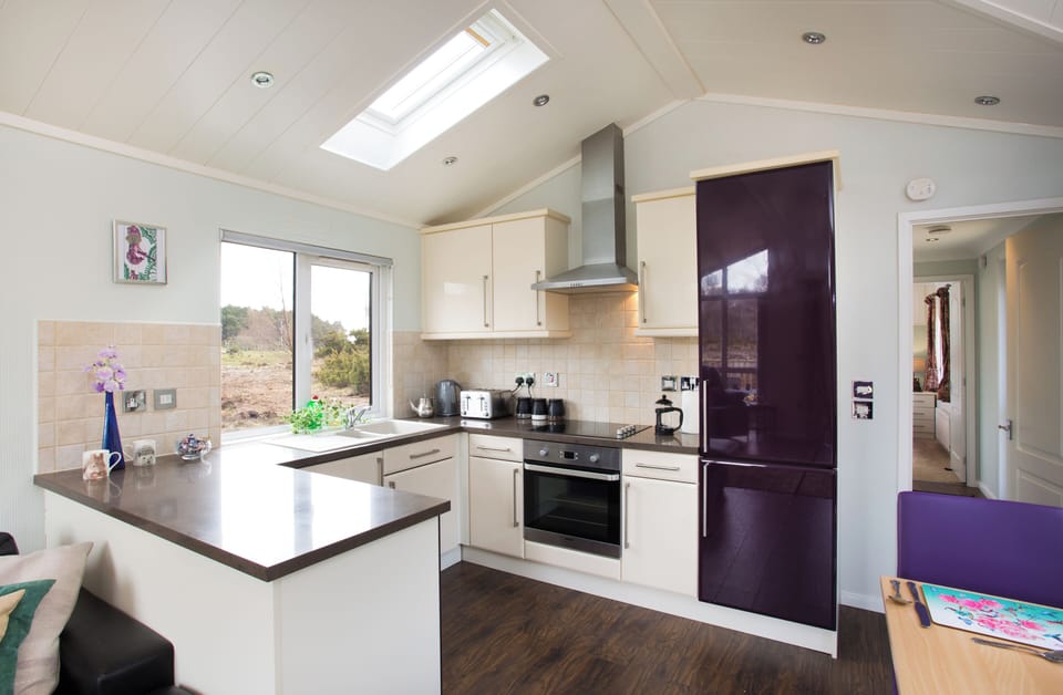 Cabin | Private kitchen | Fridge, microwave, oven, stovetop