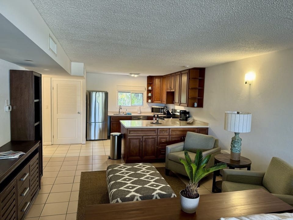Living room and kitchen