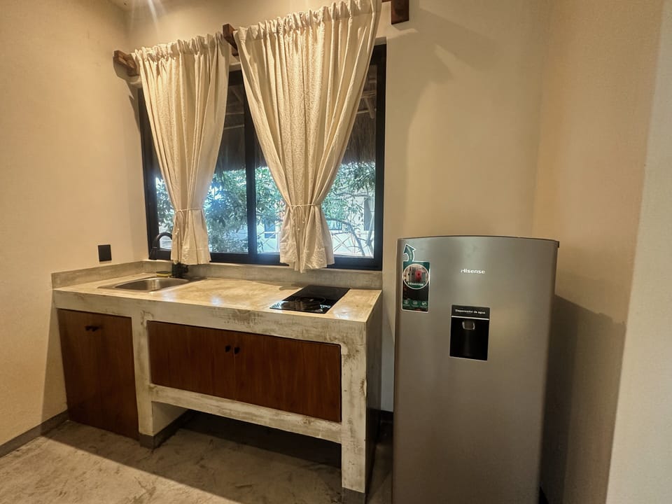Kitchen and Fridge