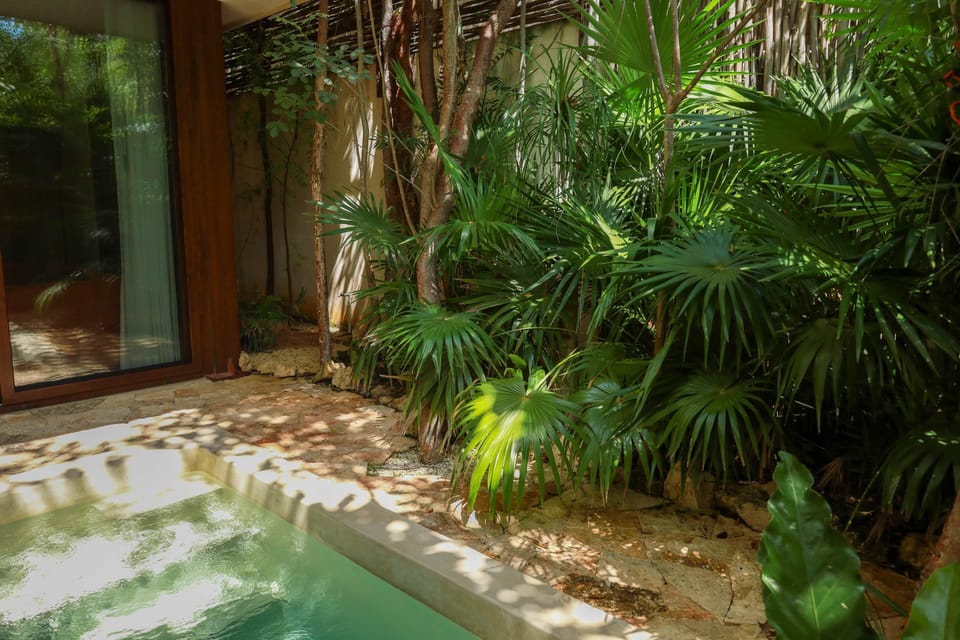 Exterior/ Patio y Alberca privados