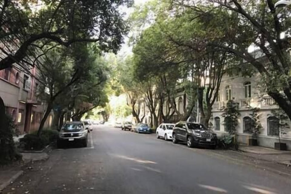 vista de la calle 