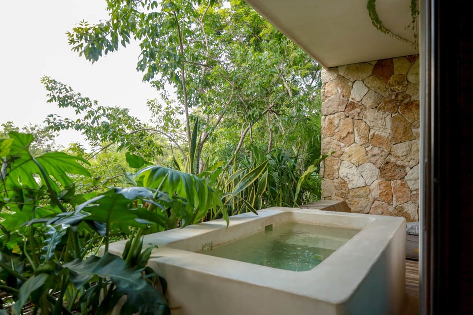 Exterior/ Terraza y Alberca privada