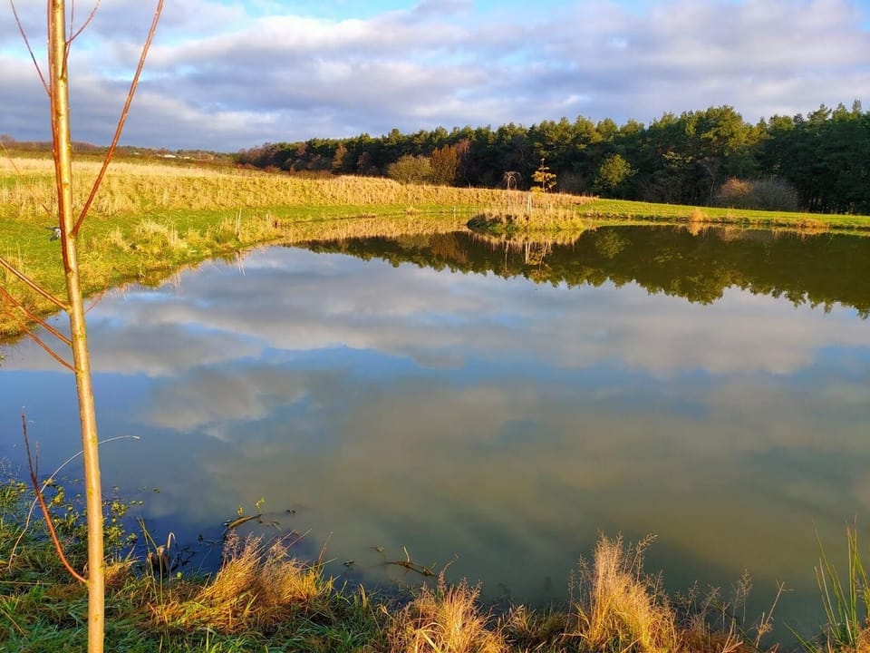 Lake view