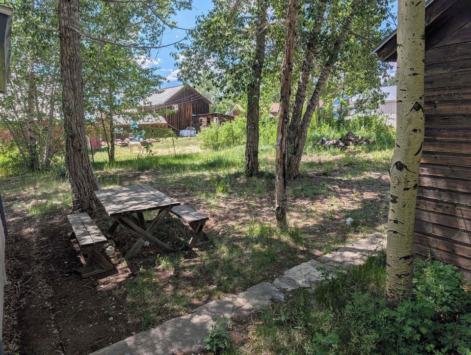 【Backyard】Your own aspen grove — coffee outside before the town wakes up
