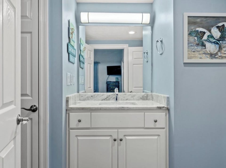 Guest bath vanity