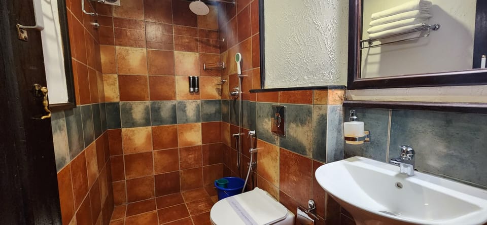 Basic Double Room | Bathroom | Shower, towels, soap, shampoo